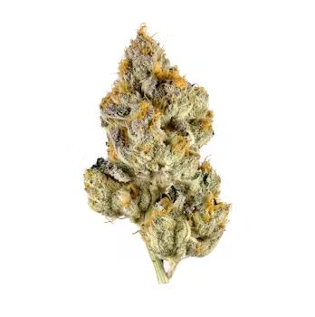 Secret Weapon - High THCa Flower [Sativa Hybrid] 28.5%