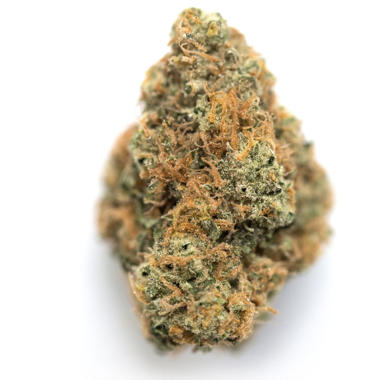 Roxanne - High THCa Flower [Hybrid] 28.6%