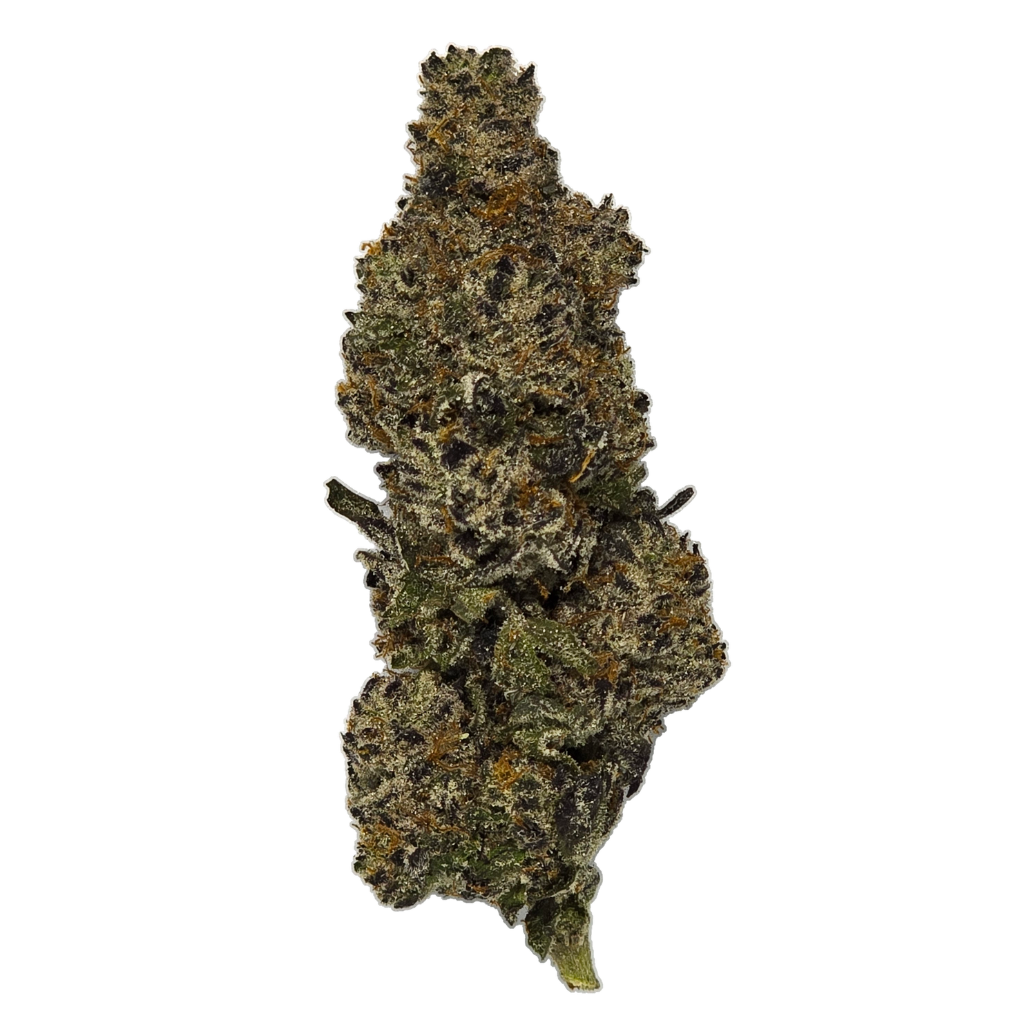 Gorilla Truffle - High THCa Flower [Indica Hybrid] 38.8%