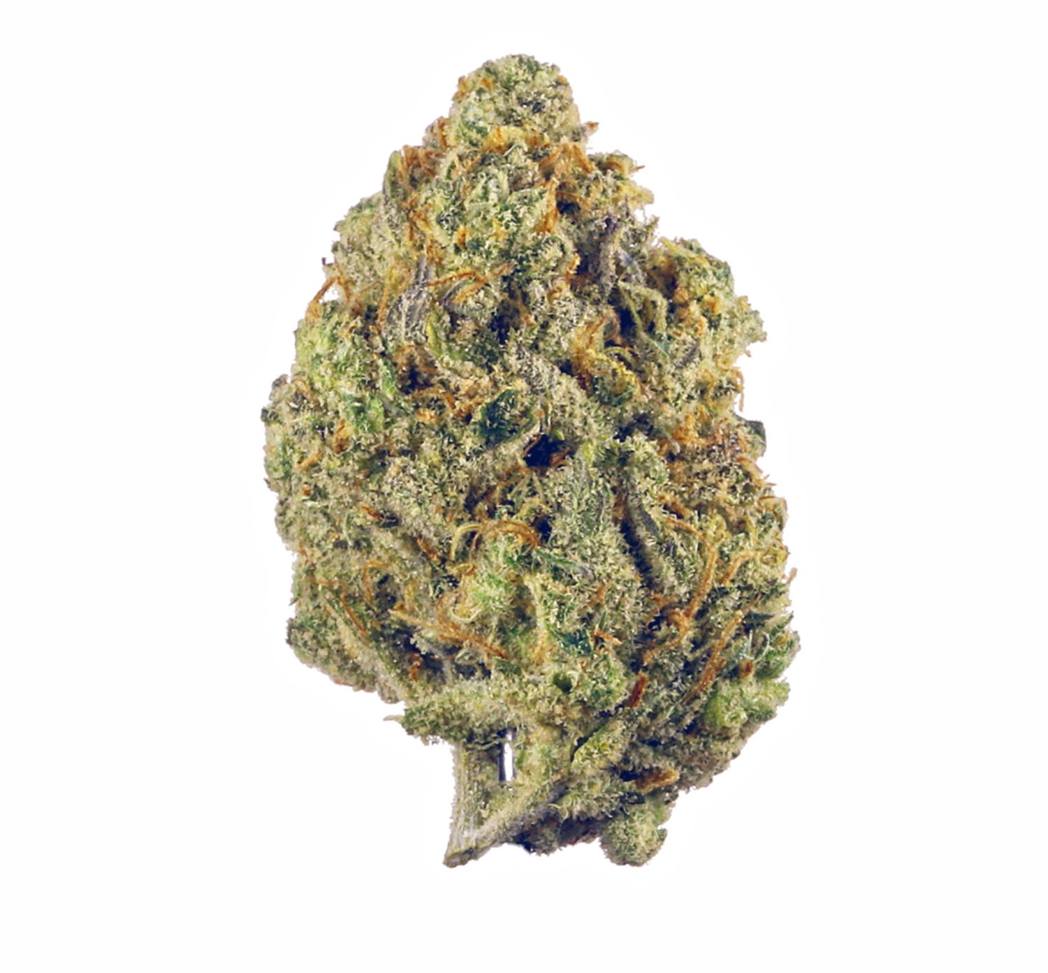 Caffeine - High THCa Flower [Sativa] 27.9%