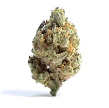 Banana Sundae - High THCa Indoor Flower [Sativa Hybrid] 29.70%, Grams: 1 Gram
