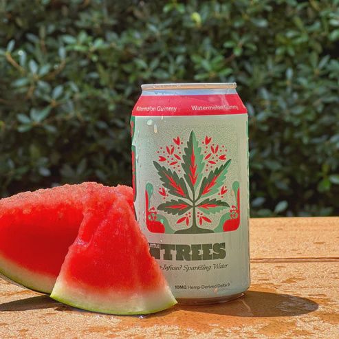 Little Trees - 10mg Delta-9 Infused Sparkling Water