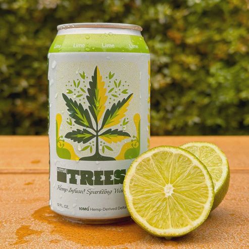 Little Trees - 10mg Delta-9 Infused Sparkling Water, Flavor: Lime