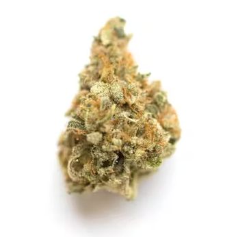 Rainbow Runtz - High THCa Flower [Indica Hybrid] 27.8%, Grams: 1 Gram