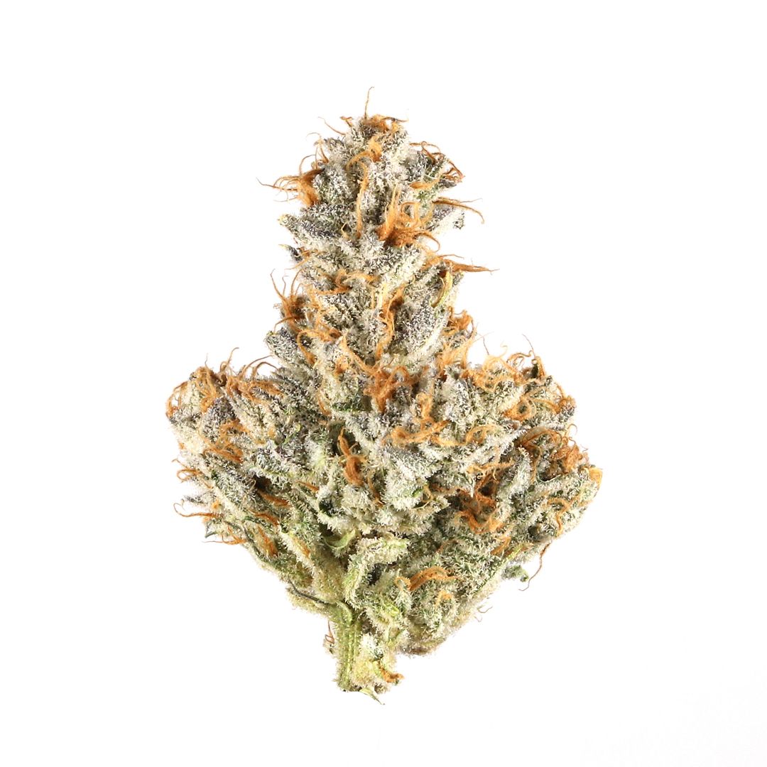 White Truffles - High THCa Flower [Indica Hybrid]