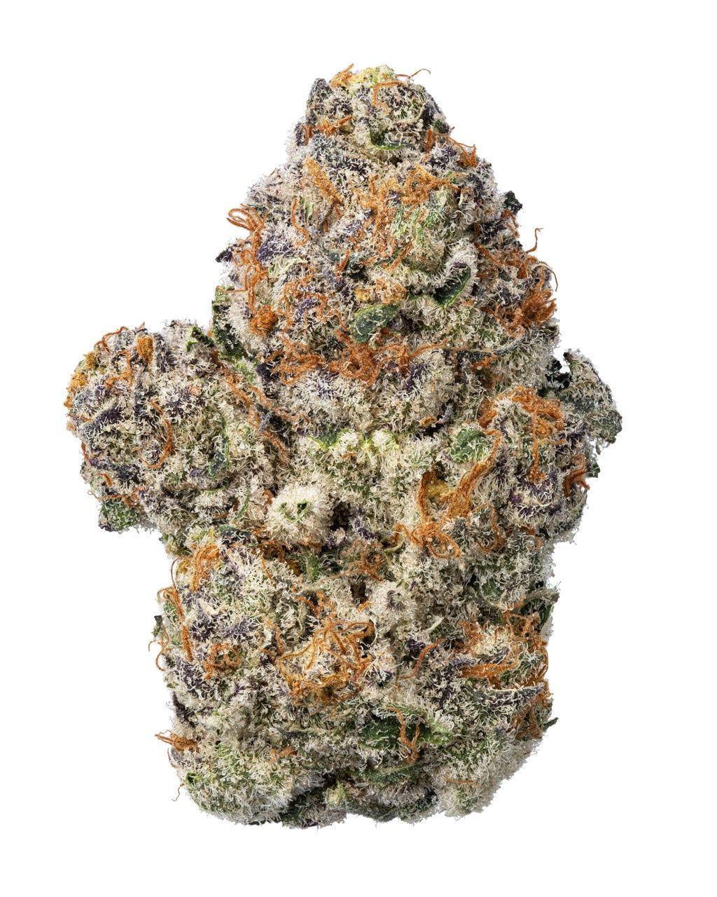 Blue Sunset Sherbet - High THCa Flower [Indica Hybrid] 31.73%