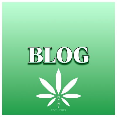 Our Blog