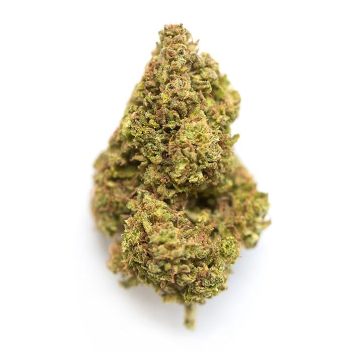 Pure Michigan - High THCa Flower [Hybrid] 35.5%