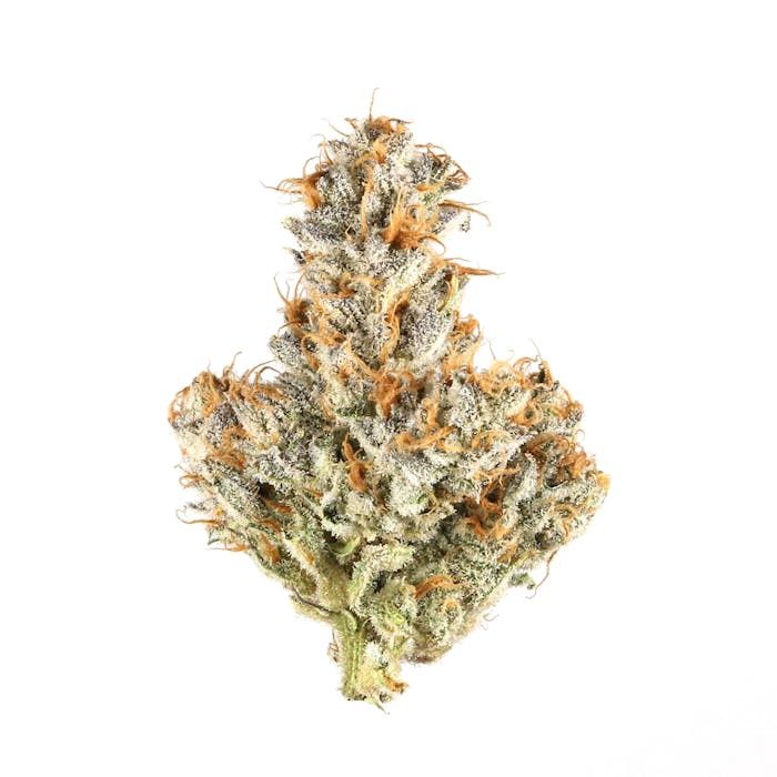 Mendo Breath - High THCa Flower [Indica] 31.6%