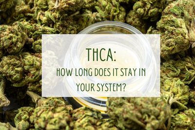 How long does THCa stay in your system?