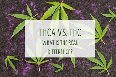 Understanding the Differences Between THCA and THC