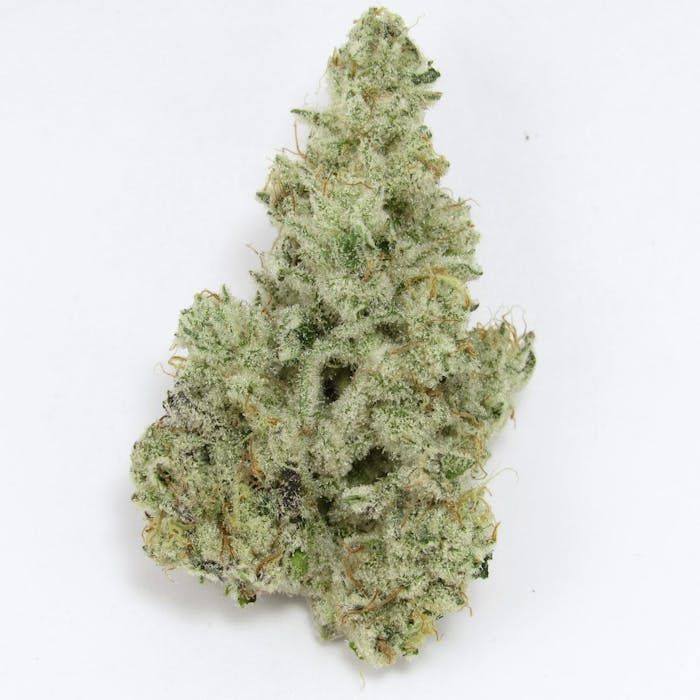 Cap Junkie - High THCa Flower [Hybrid] 31.36%