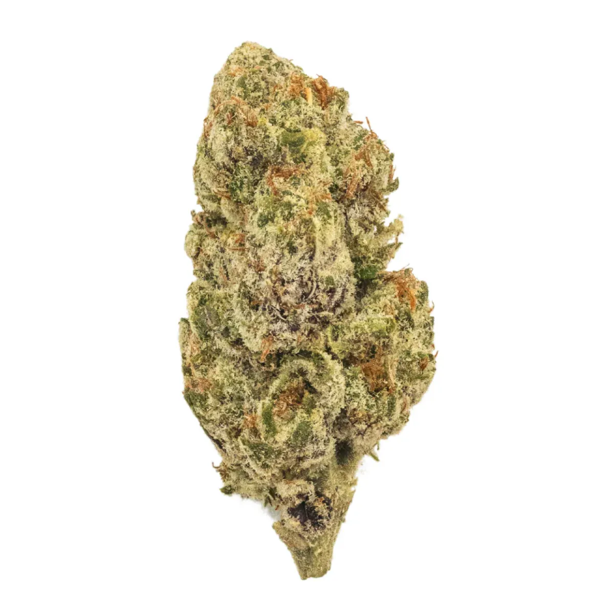 Colombian Gold - High THCa Flower [Sativa] 30.3%