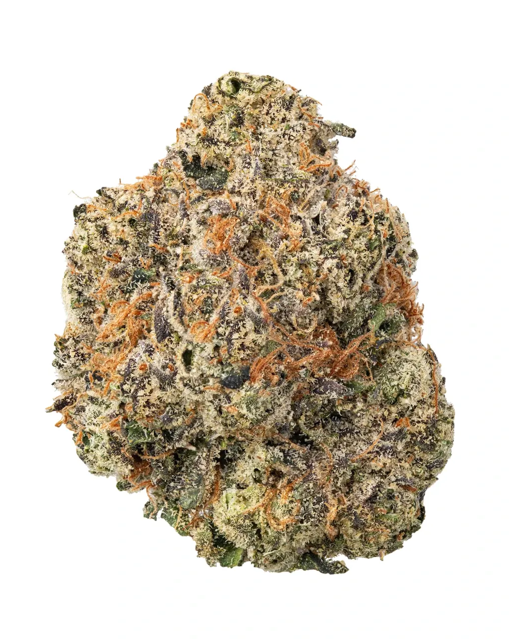 Blue Zushi - High THCa Flower [Indica Hybrid] 27.15%
