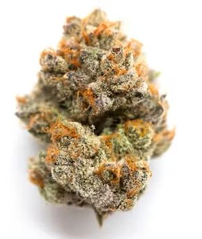 Daily Grape - High THCa Flower [Hybrid] 26.7%