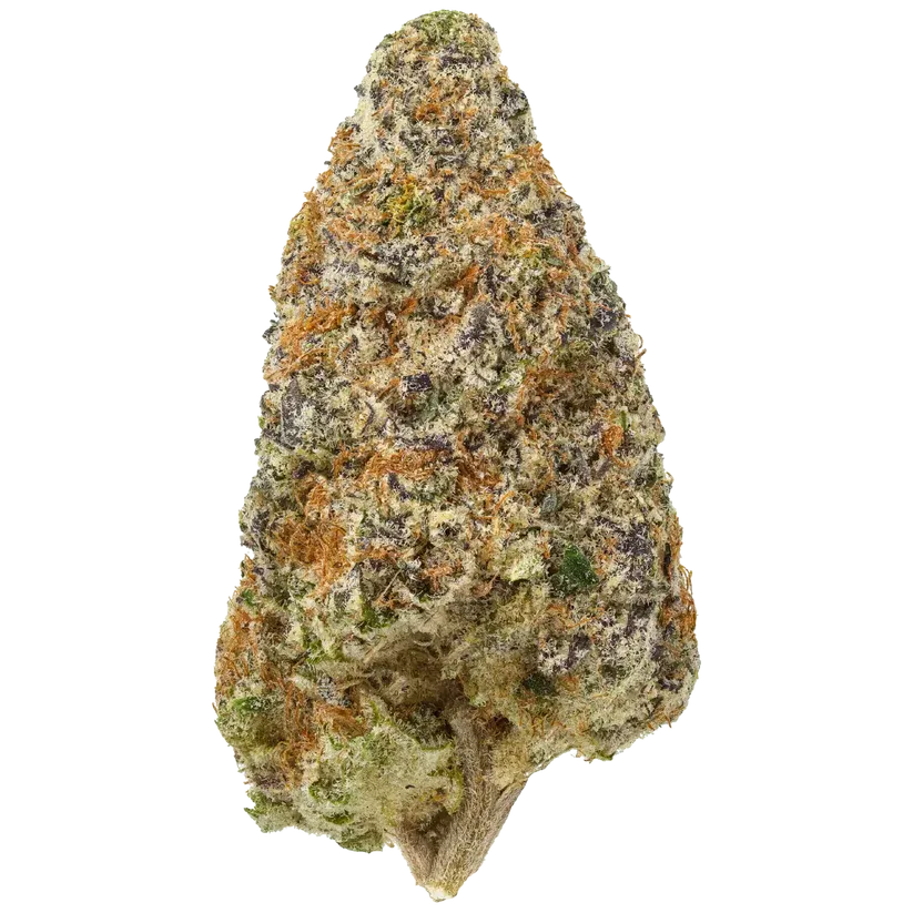 Cement Shoes- High THCa Flower [Indica] 24.43%