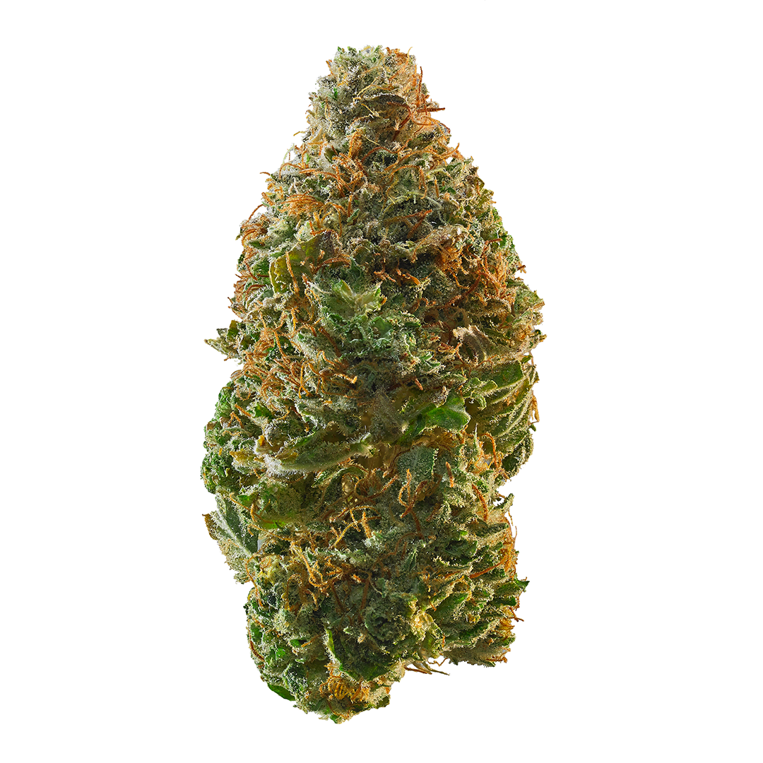 Trainwreck - High THCa Flower [Sativa] 28.4%