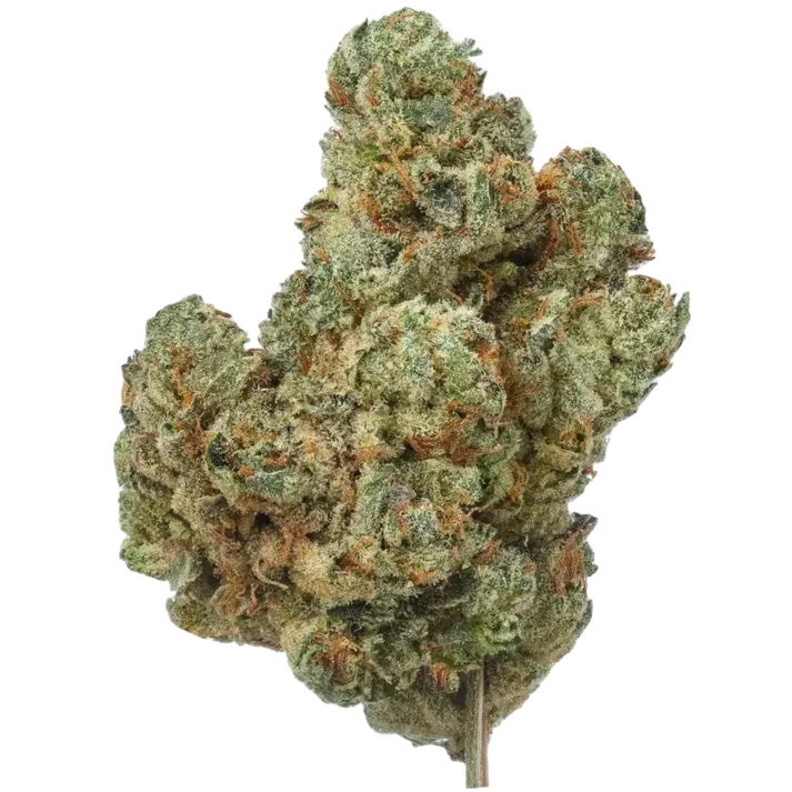 Endless Glue - High THCa Flower [Indica] 30.55%