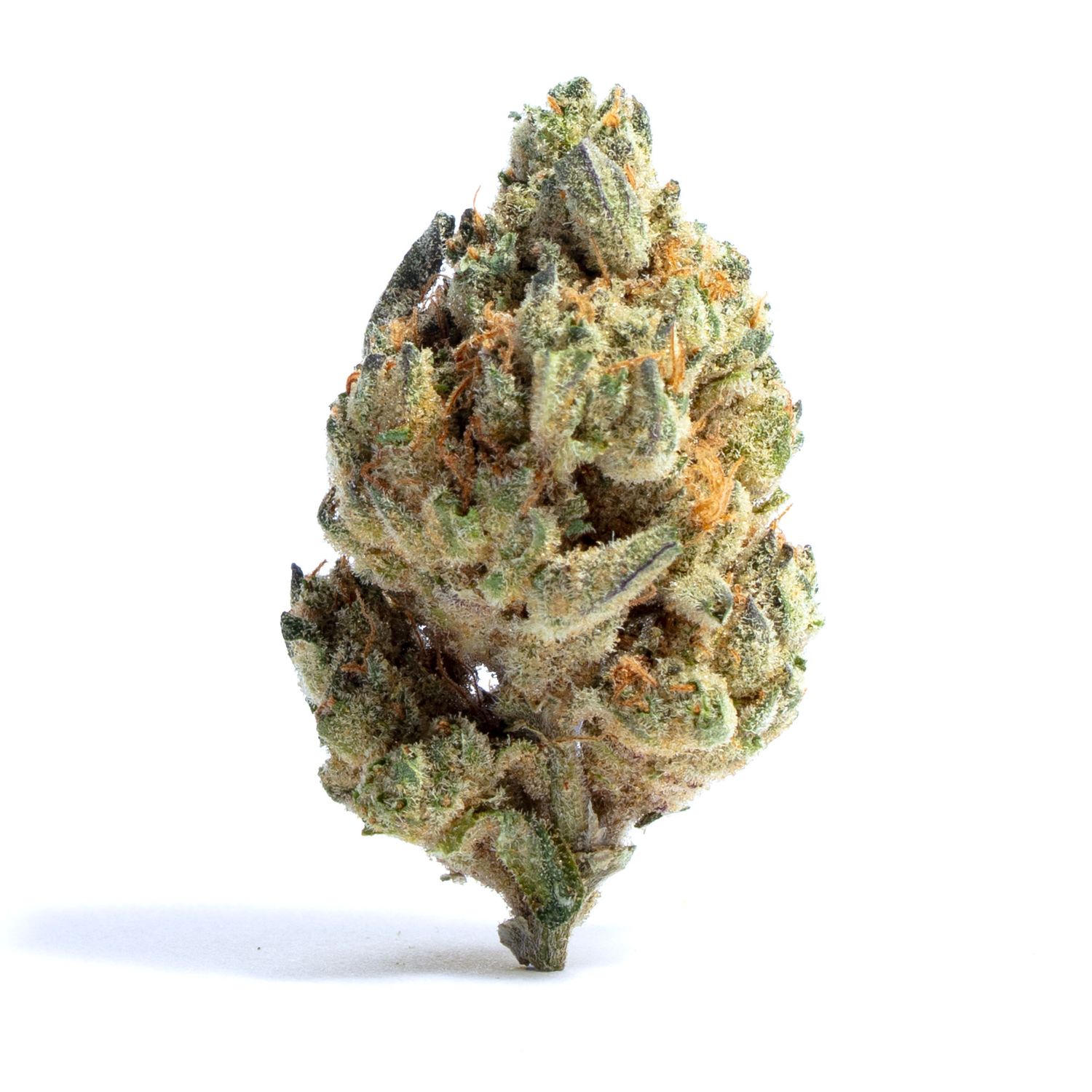 Black Widow - High THCa Flower [Sativa Hybrid] 31.27%
