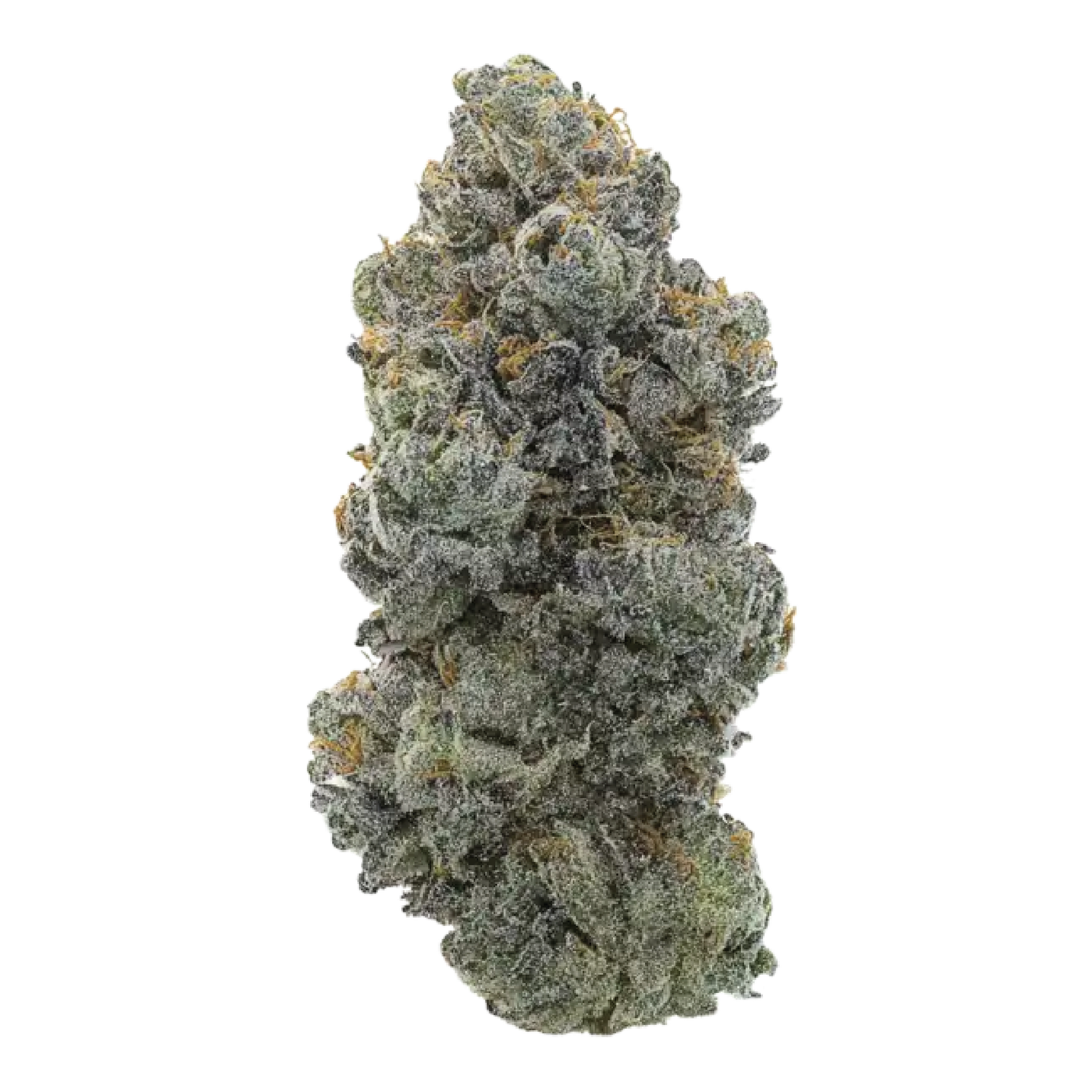 Trich Beast - High THCa Flower [Hybrid] 24.73%