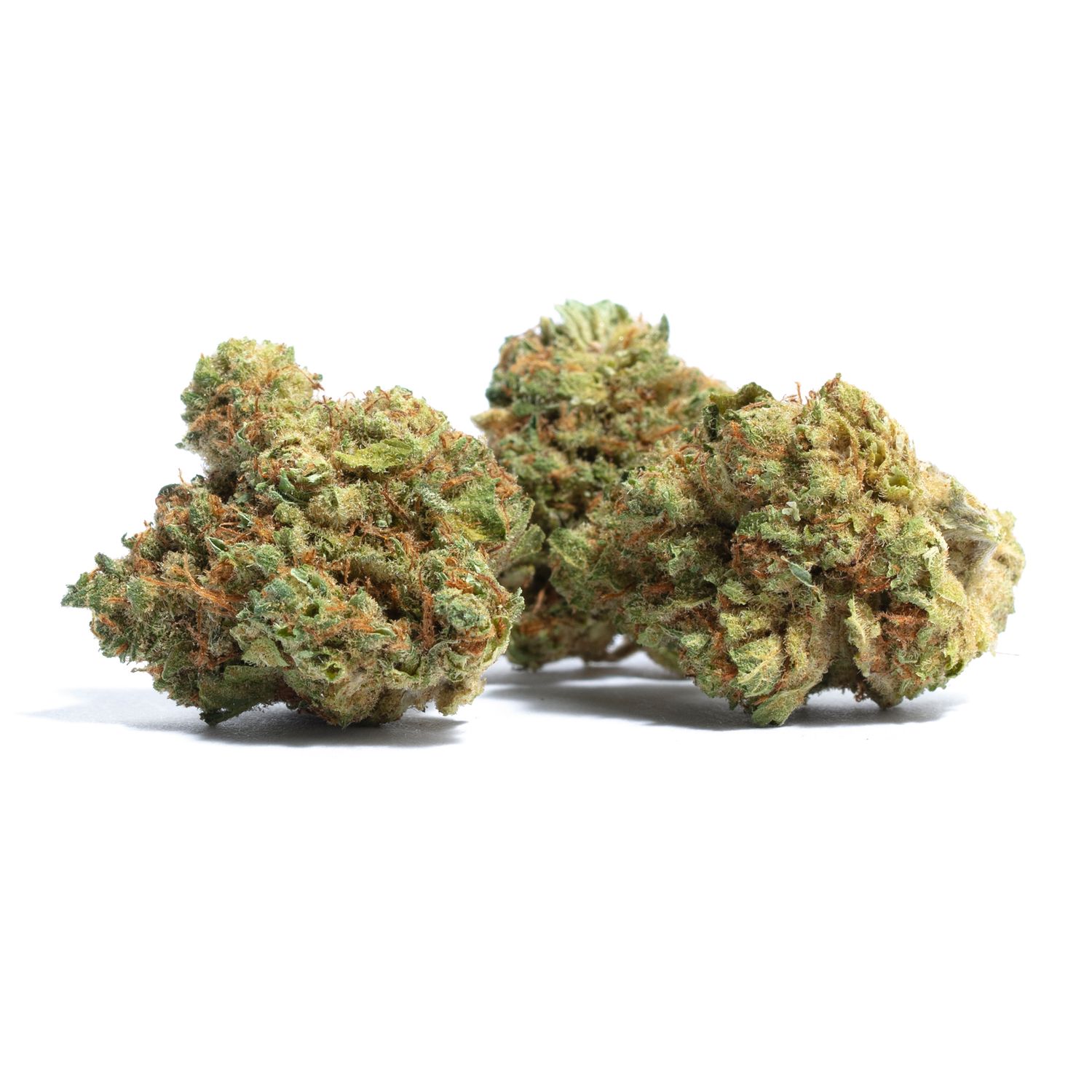 Mango Haze - High THCa Flower [Sativa] 31.41%