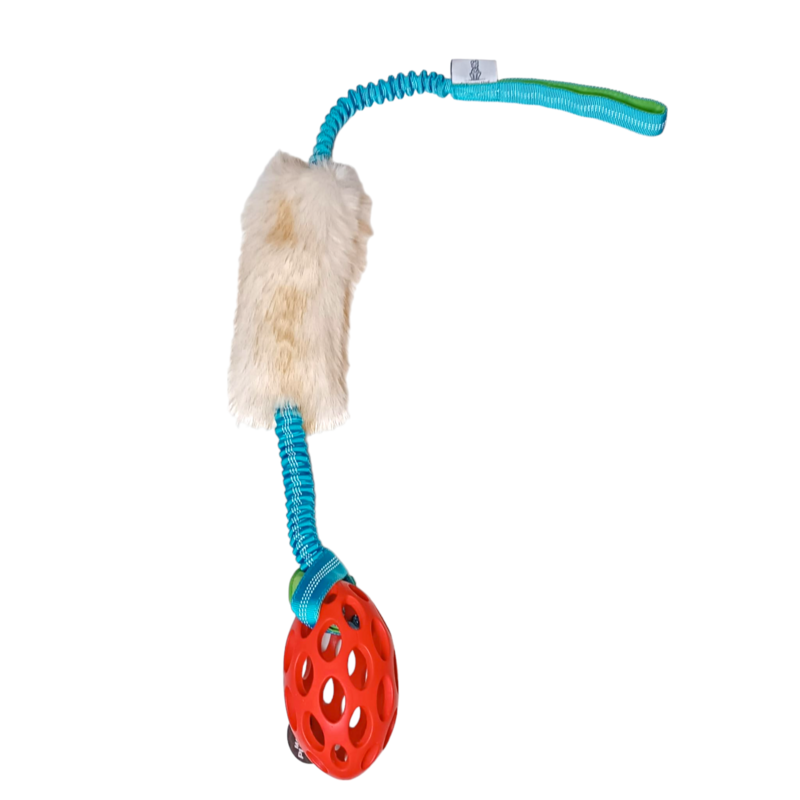 Hundespielzeug Mit Federstange - Bungee Hängespielzeug, 5-tlg Set