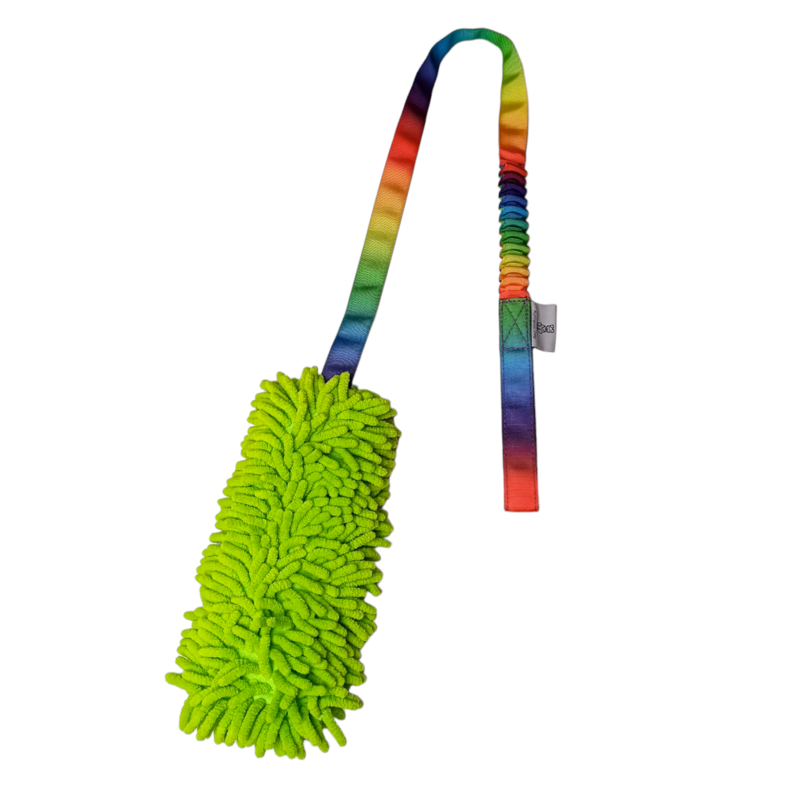 Zergel mit Mopp und Rainbow-Bungee 105 cm lang - robustes interaktives Hundespielzeug - Agility Spielzeug