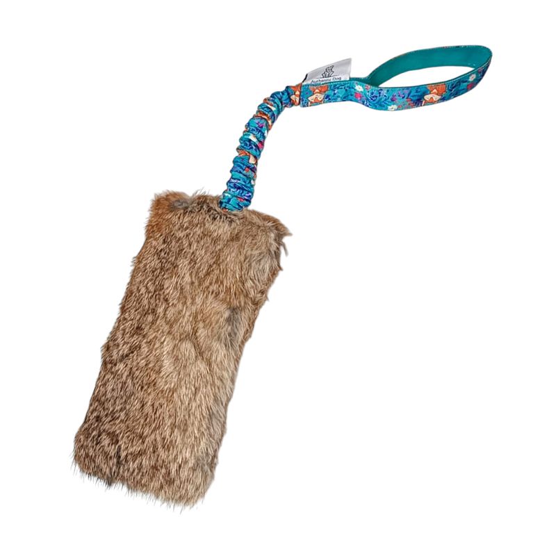 Hundespielzeug Mit Federstange - Bungee Hängespielzeug, 5-tlg Set