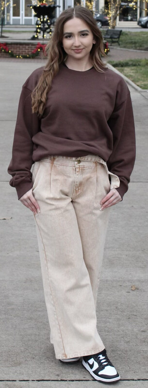 PLAIN BROWN SWEATSHIRT