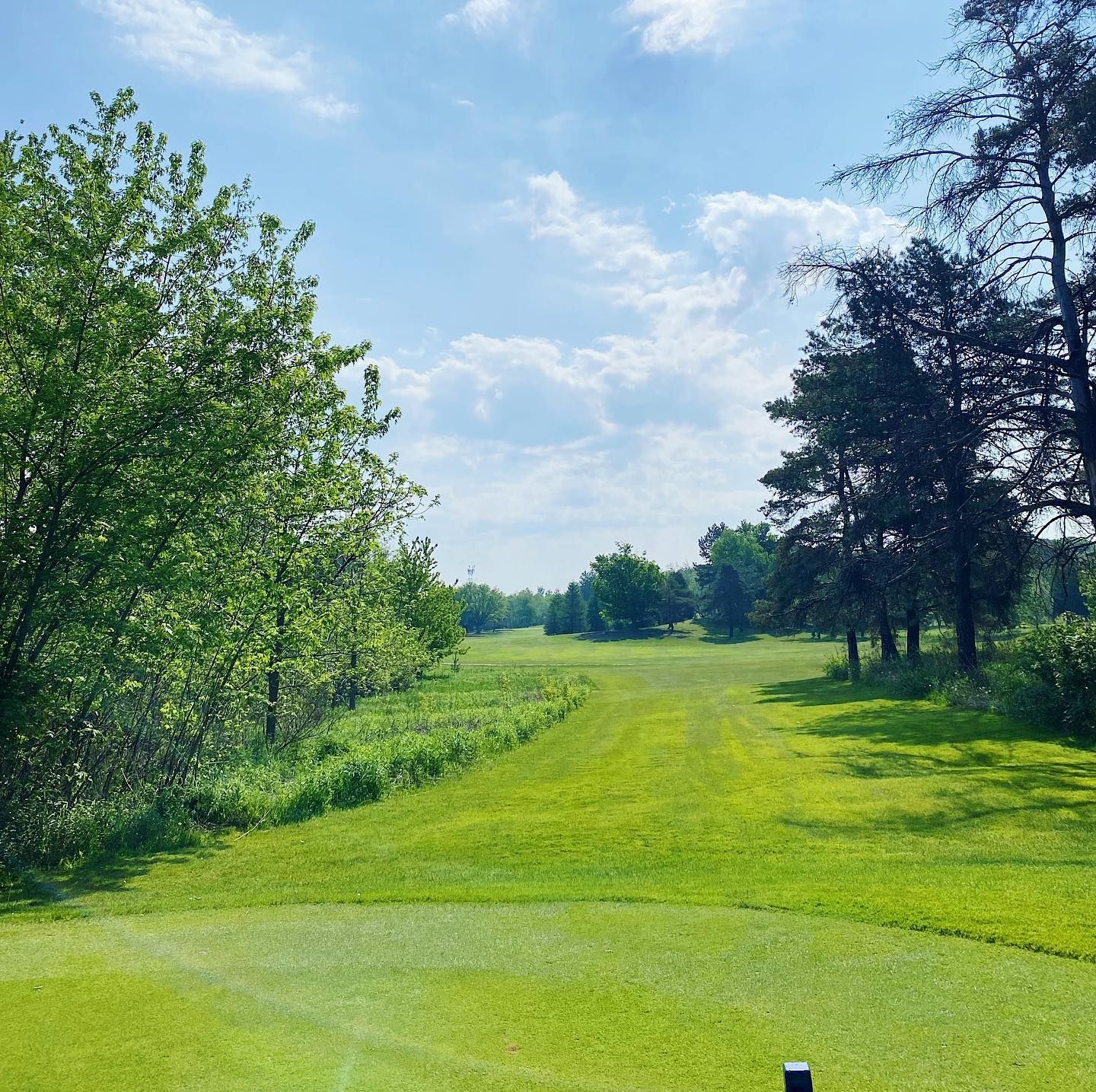 Semi-Private Lesson 1 Hour - Package of 3