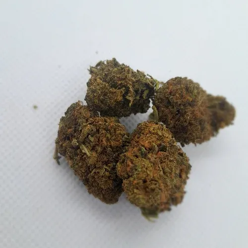 Fresa Occitania CBD: 14% THC: 0,29%