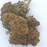 Og Kush French Occitanie CBD: 18% THC: 0.20%