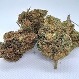 Vercors Forest Auvergne-Rhône-Alpes CBD: 6.45% THC: 0.23%