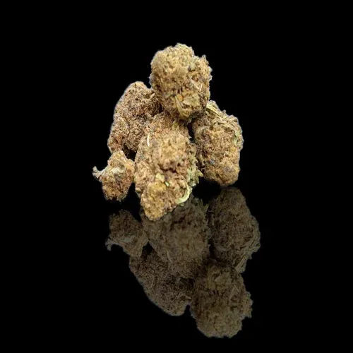 Fresa Occitania CBD: 14% THC: 0,29%