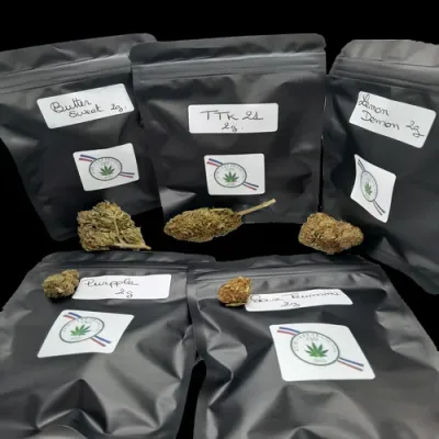 LOVF descubrimiento pack 5 flores