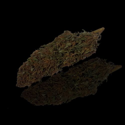 Saphir Kush