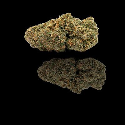 Frosty Gorilla – CBX 23% (Popcorn) THC <0.3%