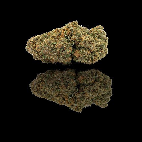 Tropical Kush — CBX Edition