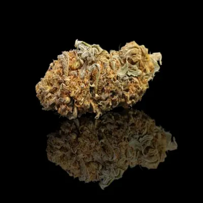 TTK 21 from Burgundy-Franche-Comté CBD: 11% THC: 0.30%