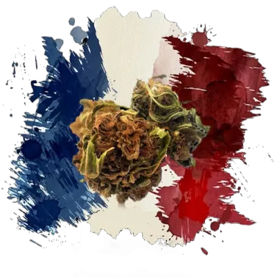 Fleurs
