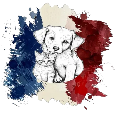 Animaux Domestiques