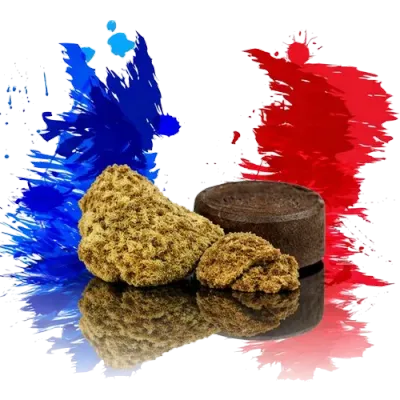 CBX – High Premium Nouvelle Génération