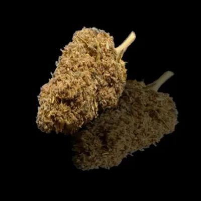 Black Pearl of Vercors Auvergne Rhône Alpes CBD: 8.41% THC: 0.3%