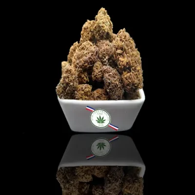 Occitanie Grape Soda CBD: 3.5% THC: 0.3%