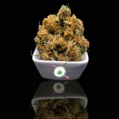 Coup de Poing de Provence Alpes Côte D'Azur CBD : 11.56% THC : 0.30%