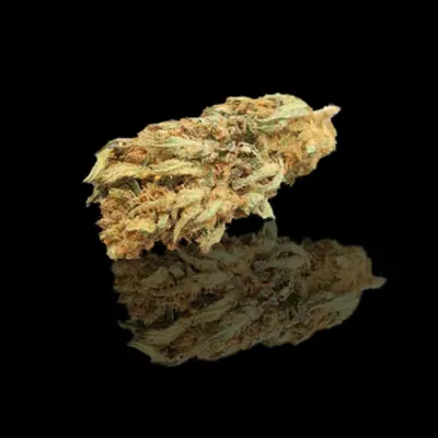 ​Limón de Vercors Auvergne-Rhône-Alpes CBD: 7,68% THC: 0,3%