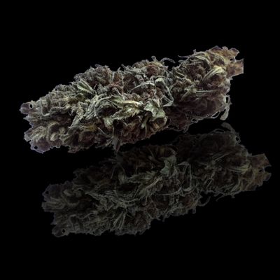 Panthère Rose​  CBD : 7,8% THC : 0,29% Haute Savoie