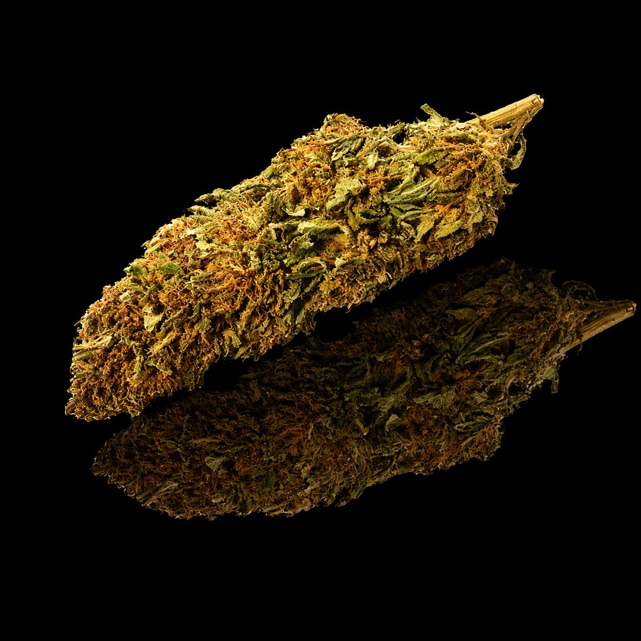 Saphir Kush