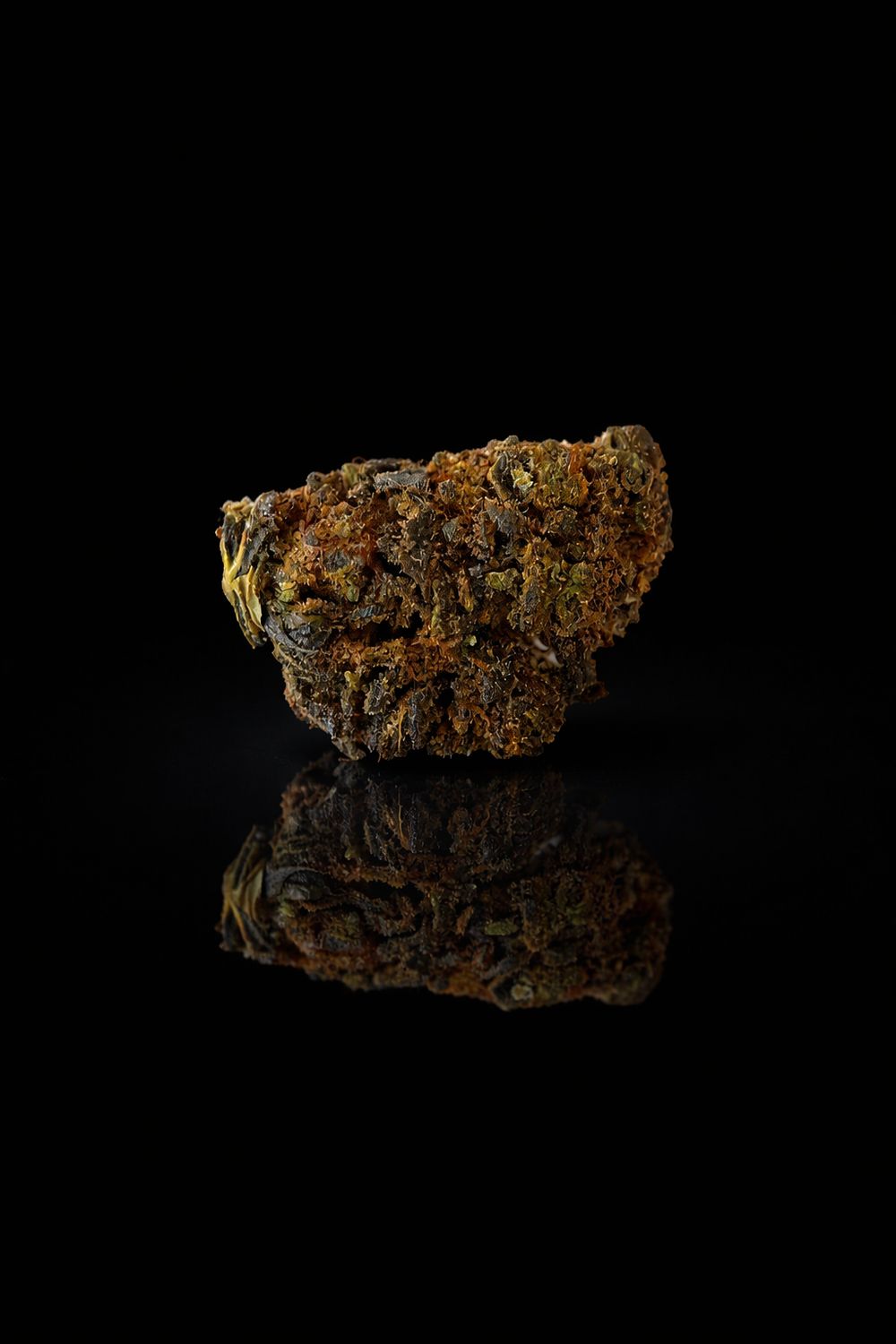 ​Forbidden Fruit HE