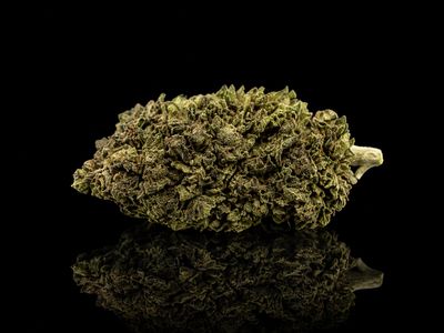 Strawberry Kush to Bourgogne CBD : 10-12%